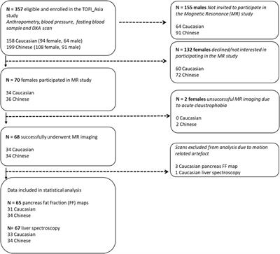 Pancreas Fat, an Early Marker of Metabolic Risk? A Magnetic Resonance Study of Chinese and Caucasian Women: TOFI_Asia Study